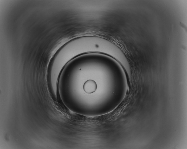 X0000097590292200803071327