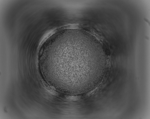 X0000097590293200803071327