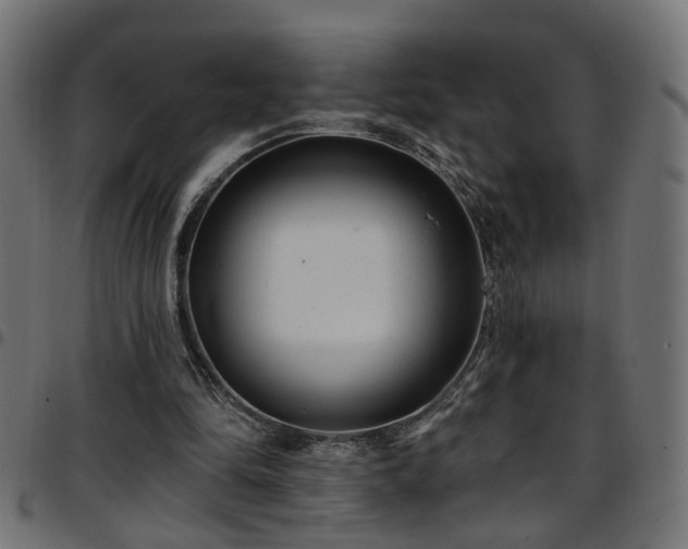 X0000097590294200803071327