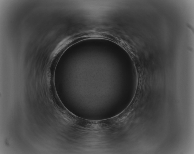 X0000097590295200803071327