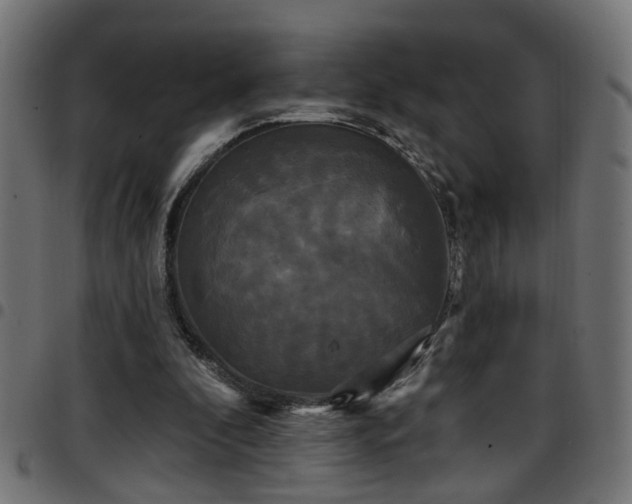 X0000097590296200803071327