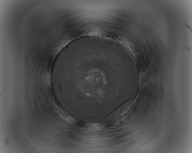 X0000097590297200803071327