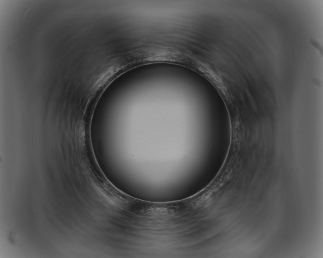 X0000097590298200803071327