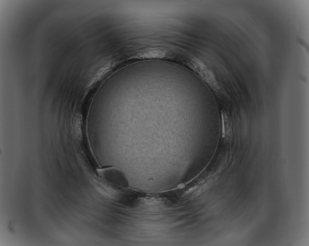 X0000097590300200803071327