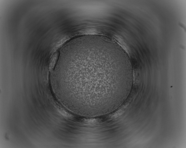 X0000097590301200803071327