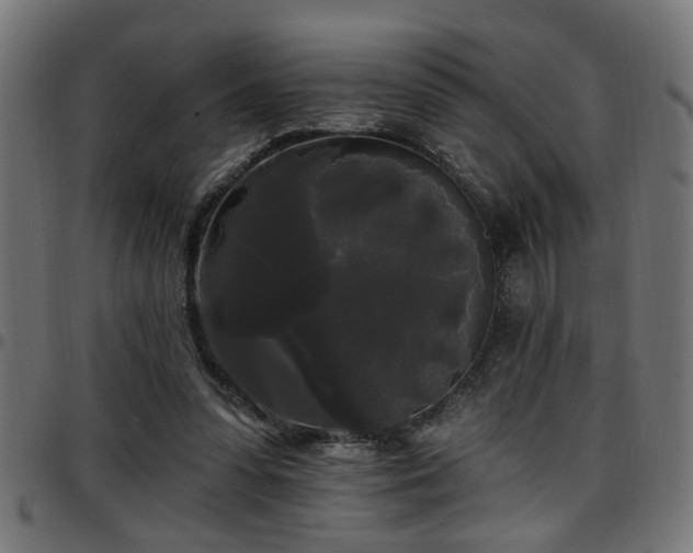 X0000097590303200803071327