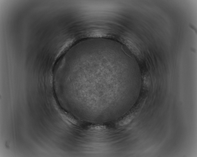 X0000097590304200803071327