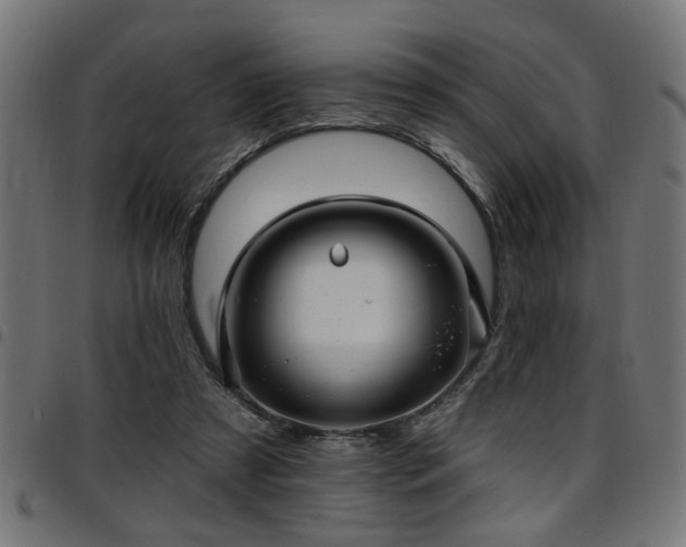 X0000097590305200803071327