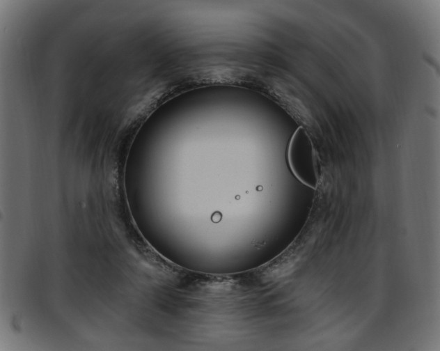 X0000097590306200803071327