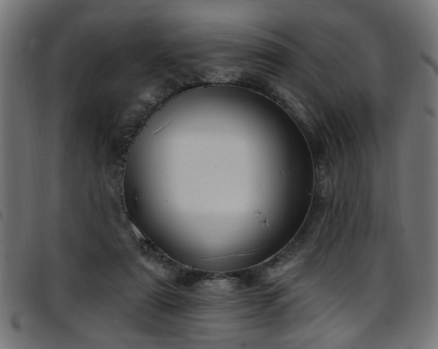 X0000097590307200803071327