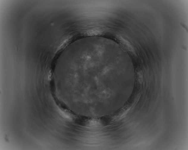 X0000097590308200803071327