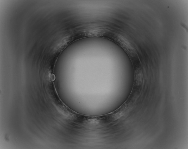 X0000097590310200803071327