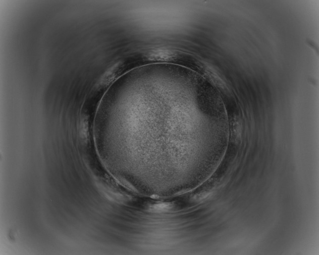 X0000097590312200803071326