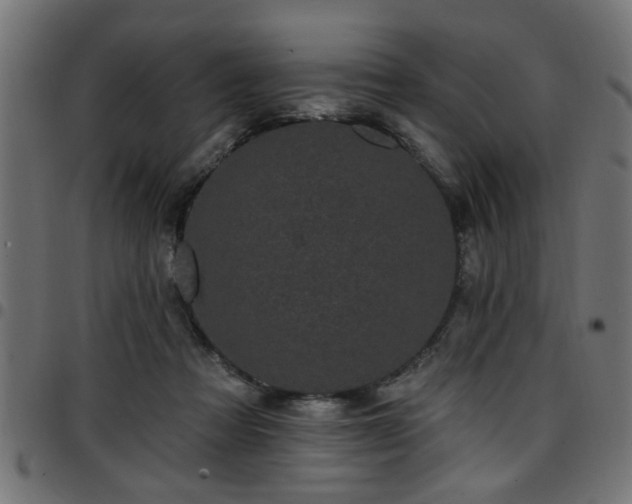 X0000097590313200803071326