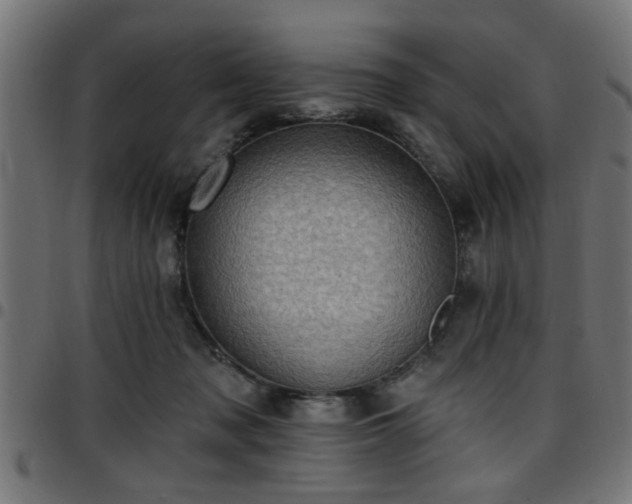 X0000097590317200803071326