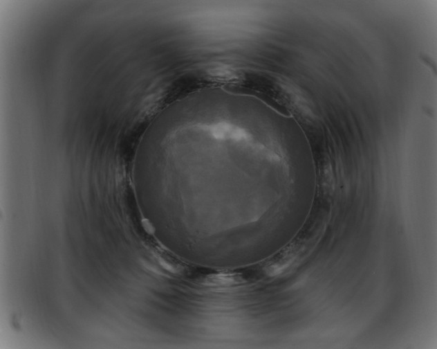 X0000097590320200803071326