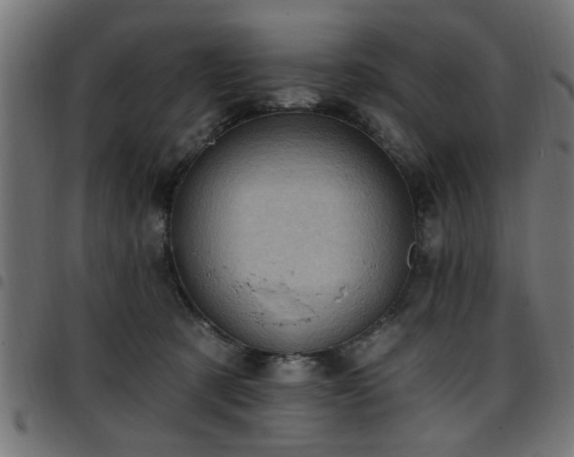 X0000097590321200803071326