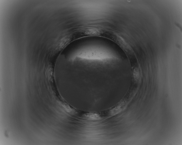 X0000097590322200803071326