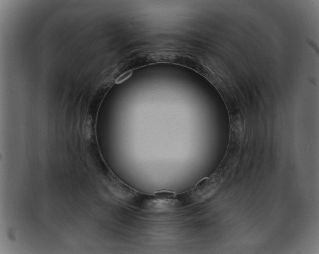 X0000097590323200803071326