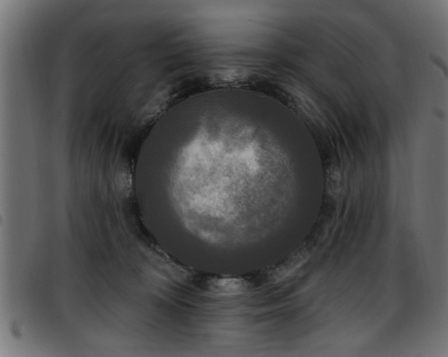 X0000097590324200803071326