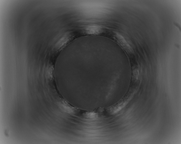 X0000097590325200803071326