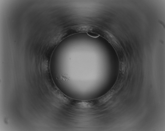 X0000097590326200803071326