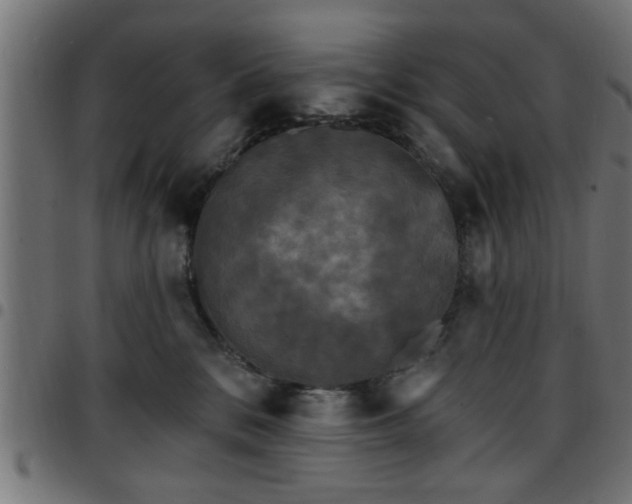 X0000097590328200803071326