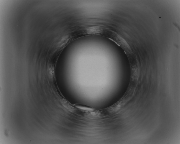 X0000097590329200803071326