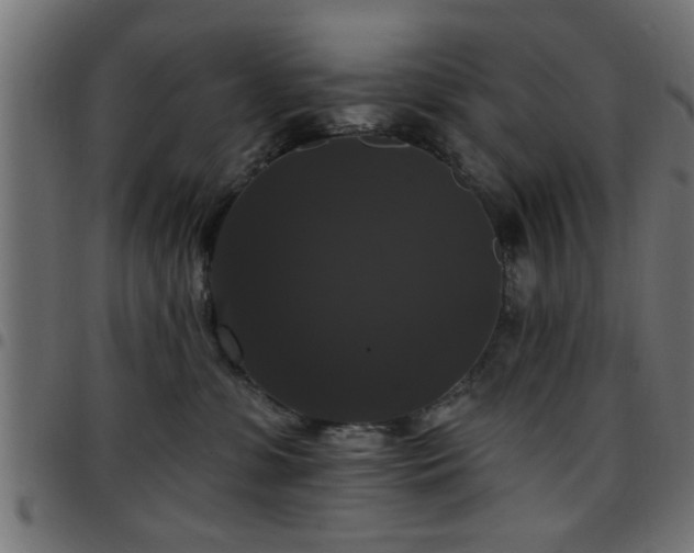 X0000097590331200803071326