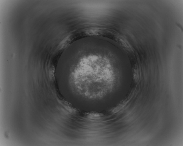 X0000097590332200803071326