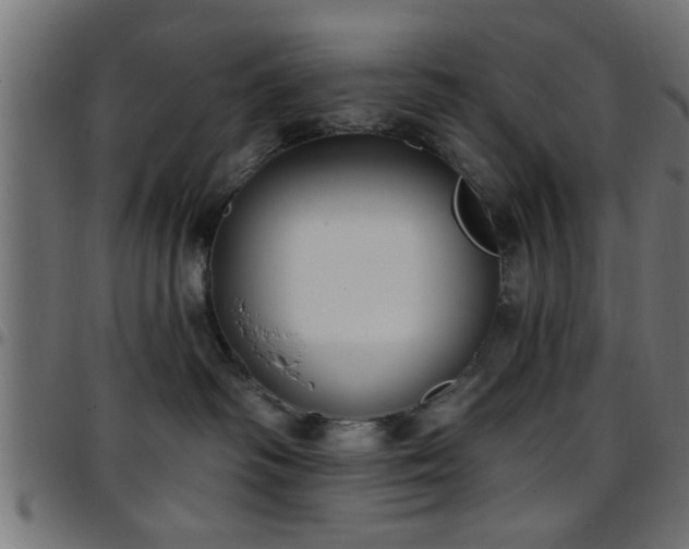 X0000097590334200803071326