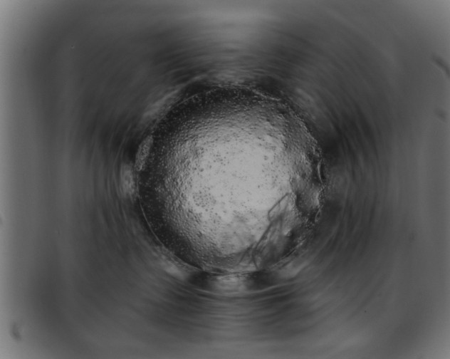 X0000097590335200803071326