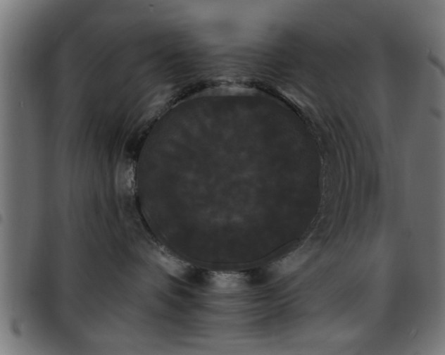 X0000097590336200803071326