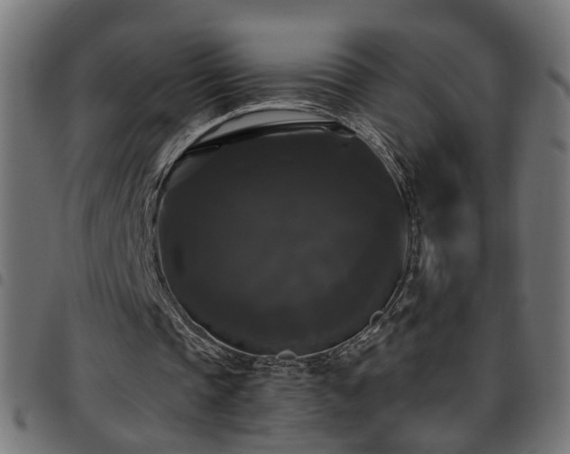 X0000097590337200803071325