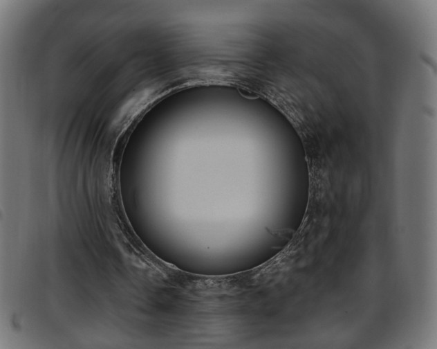 X0000097590338200803071325