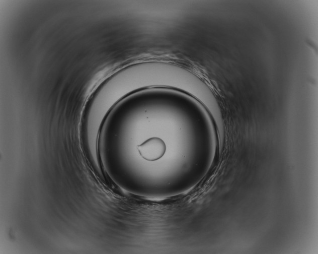 X0000097590340200803071326