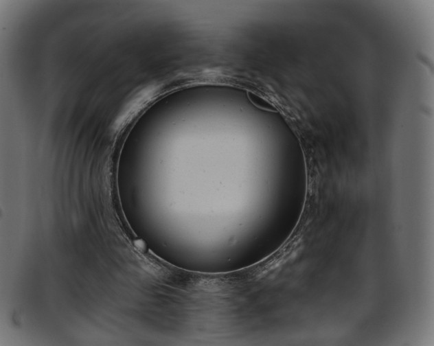 X0000097590341200803071326