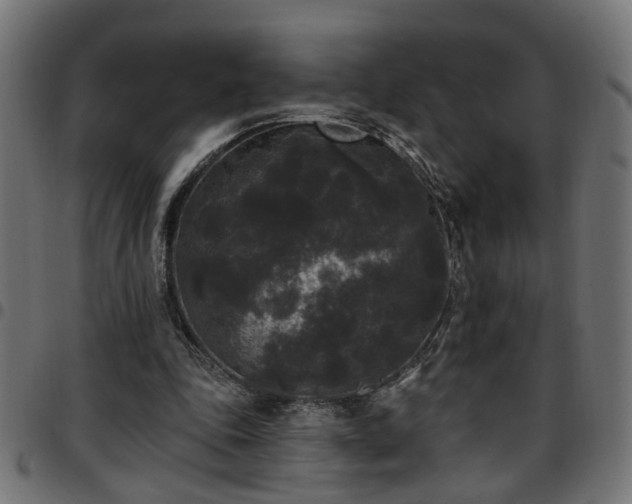 X0000097590343200803071326