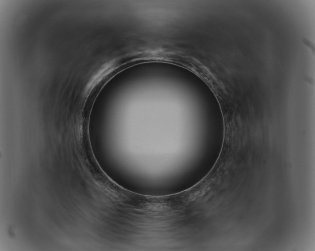 X0000097590344200803071326