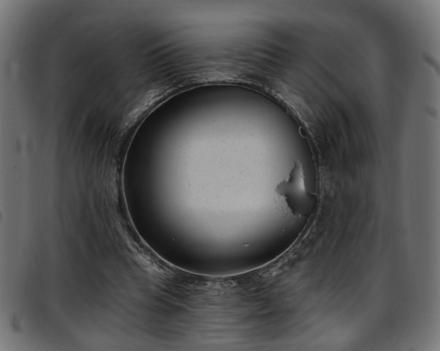 X0000097590345200803071326