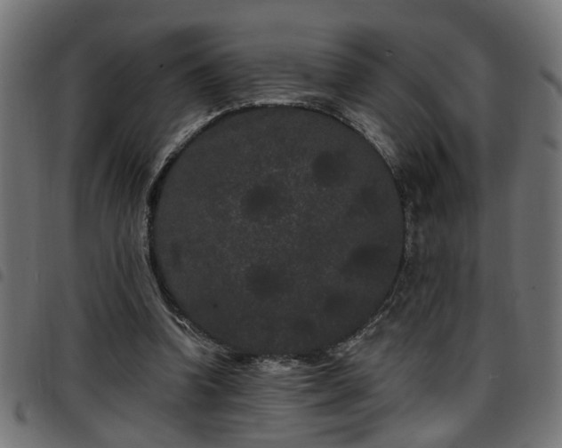 X0000097590346200803071326