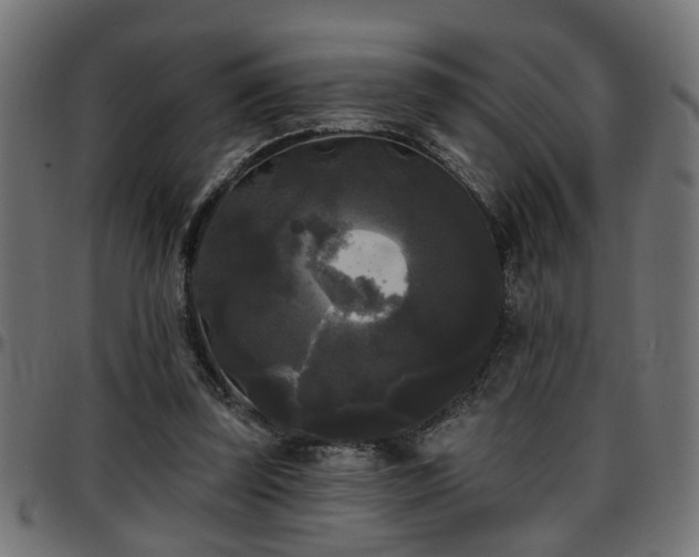 X0000097590347200803071326