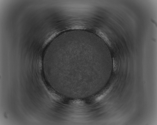 X0000097590348200803071326