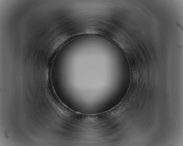 X0000097590350200803071326