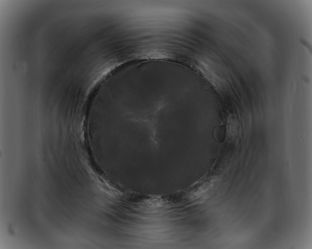 X0000097590351200803071326