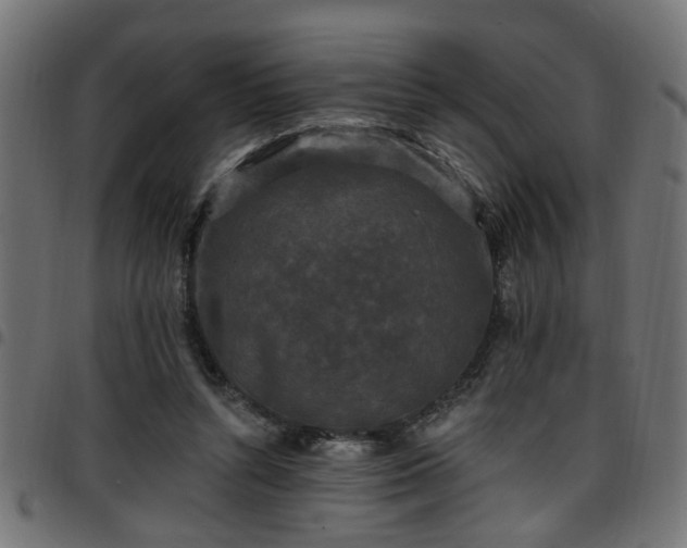 X0000097590352200803071326