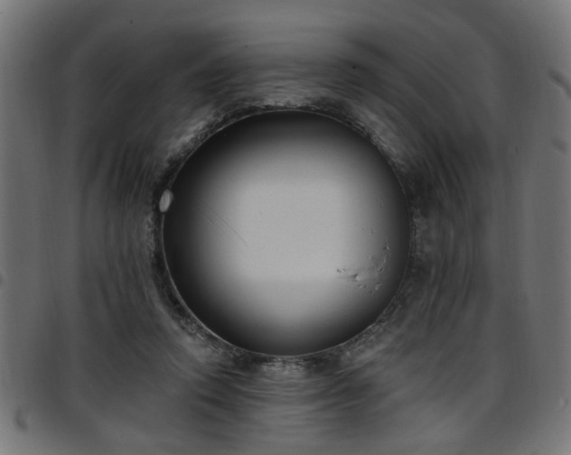 X0000097590354200803071326