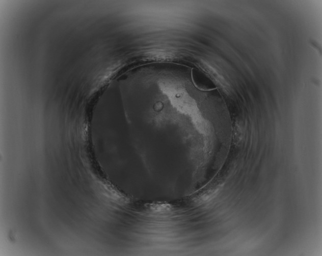 X0000097590355200803071326