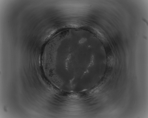 X0000097590358200803071326