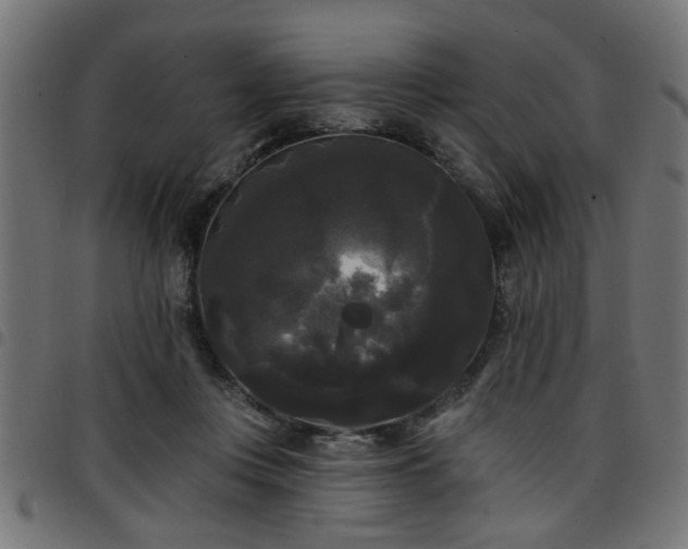 X0000097590359200803071326